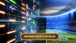 Kinh nghiệm chơi kèo tài xỉu hiệu quả