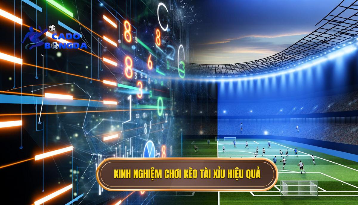 Kinh nghiệm chơi kèo tài xỉu hiệu quả cho người mới và cao thủ 4 Kinh nghiệm chơi kèo tài xỉu hiệu quả