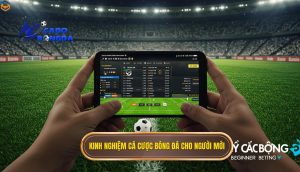 kinh nghiệm cá cược bóng đá cho người mới