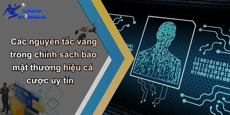 Các nguyên tắc vàng trong chính sách bảo mật thương hiệu cá cược uy tín
