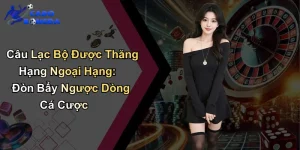 Câu Lạc Bộ Được Thăng Hạng Ngoại Hạng: Đòn Bẩy Cá Cược