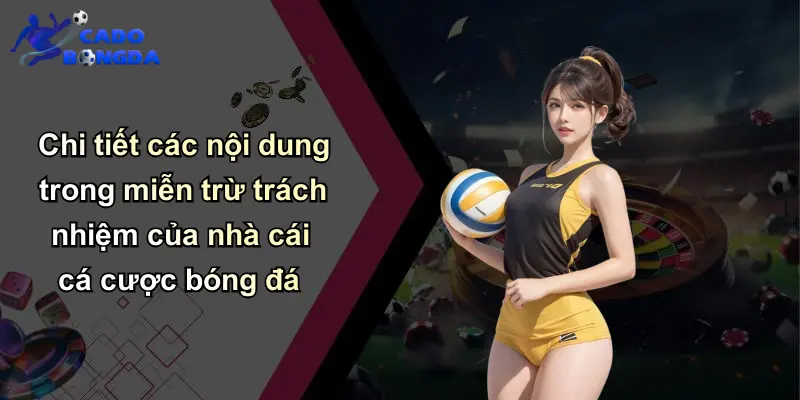 Chi tiết các nội dung trong miễn trừ trách nhiệm của nhà cái cá cược bóng đá