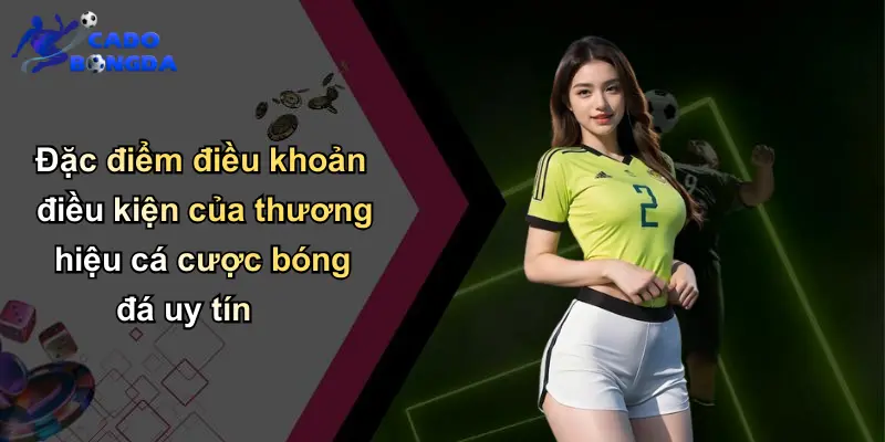 Đặc điểm điều khoản điều kiện của thương hiệu cá cược bóng đá uy tín