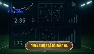 chiến thuật cá độ bóng đá
