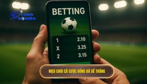 mẹo chơi cá cược bóng đá dễ thắng