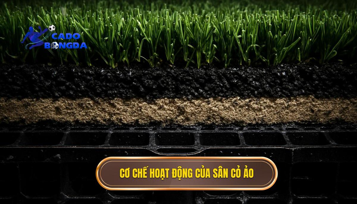 Cơ chế vận hành đằng sau sân cỏ ảo