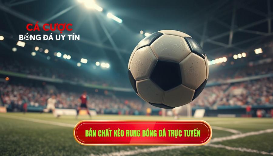 Kèo Rung Mạnh Từng Giây: Bí Quyết Chiến Thắng Tại hprasouthern.com 2 Hiểu đúng về bản chất của kèo rung mạnh từng giây