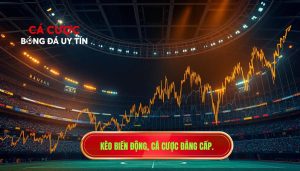 Kèo bắt đầu biến động mạnh: Bí quyết soi kèo và đặt cược hiệu quả