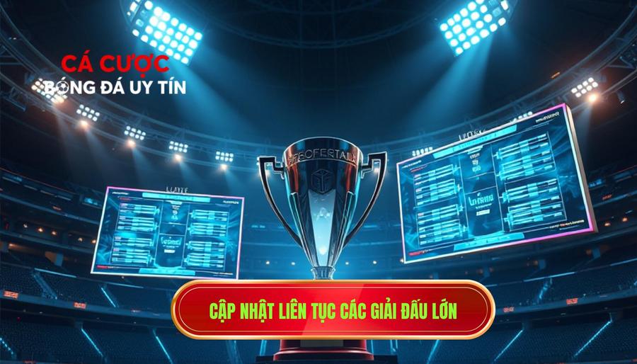 Bóng Đá 24 Giờ - Nhịp Đập Sân Cỏ Và Chiến Thuật Cá Cược Đỉnh Ca 3 Hệ thống giải đấu tiêu điểm được cập nhật liên tục