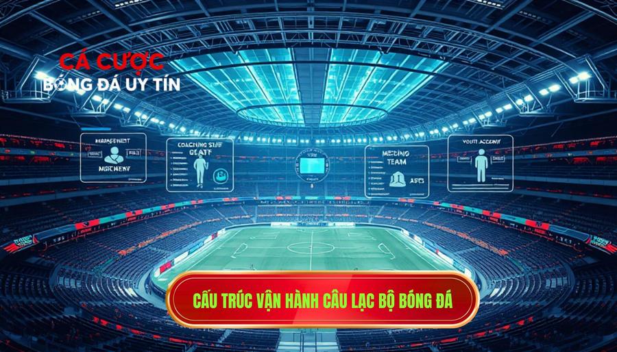 Câu Lạc Bộ Bóng Đá: Những Pháo Đài Của Đam Mê Và Giá Trị Thương Hiệu Tỷ Đô 3 Cấu Trúc Vận Hành Bên Trong Một Câu Lạc Bộ Bóng Đá Chuyên Nghiệp