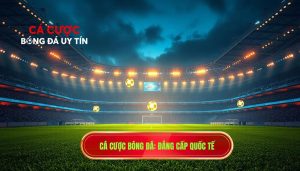 câu lạc bộ bóng đá