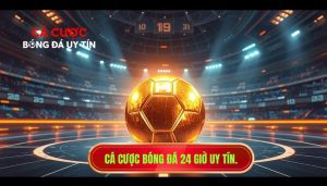bóng đá 24 giờ